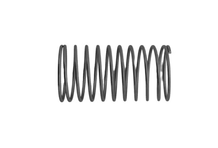 T100 One-Way Valve Spring