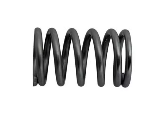 T100 Power Distribution Module Spring