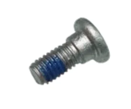 Screw M30-HC00700054-058012-4203-Y