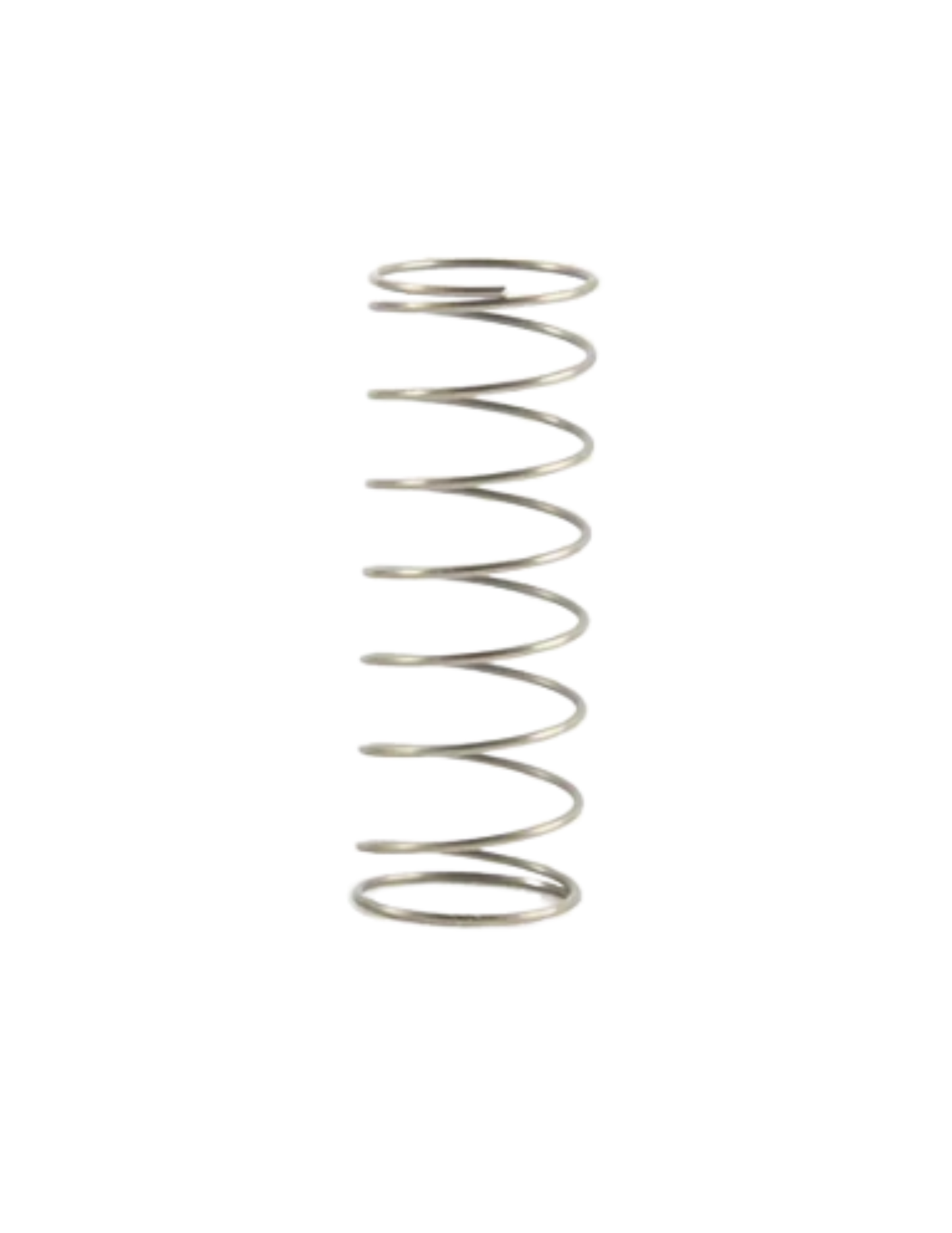 T40 Anti-Leak Valve Spring