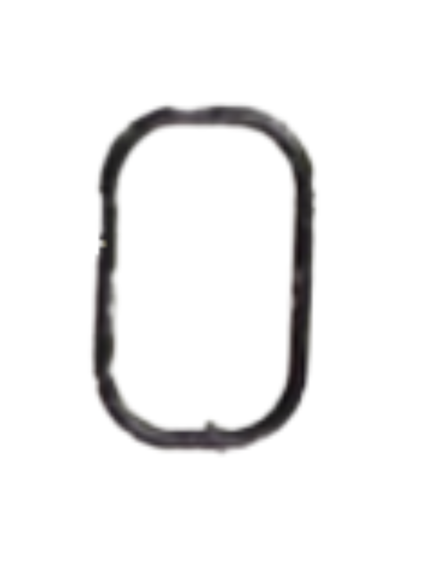 T100 Sealing Ring S